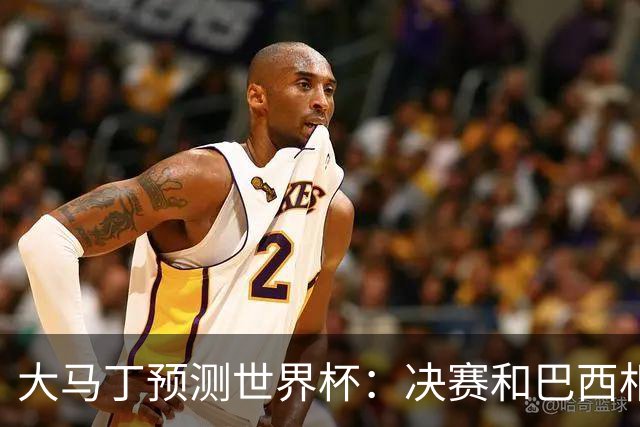 大马丁预测世界杯：决赛和巴西相遇 阿根廷将通过点球大战卫冕
